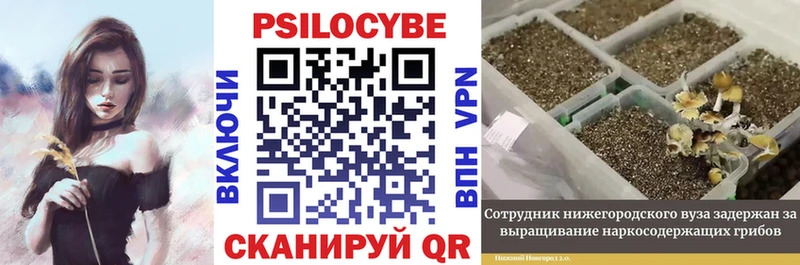 Галлюциногенные грибы прущие грибы  Жуков 